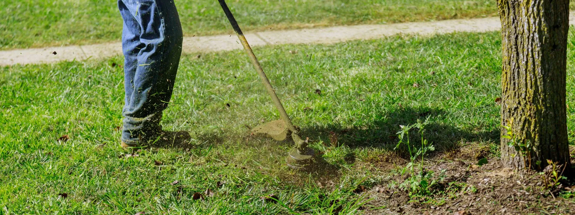 Decespugliamento e pulizia terreni Cobra Garden