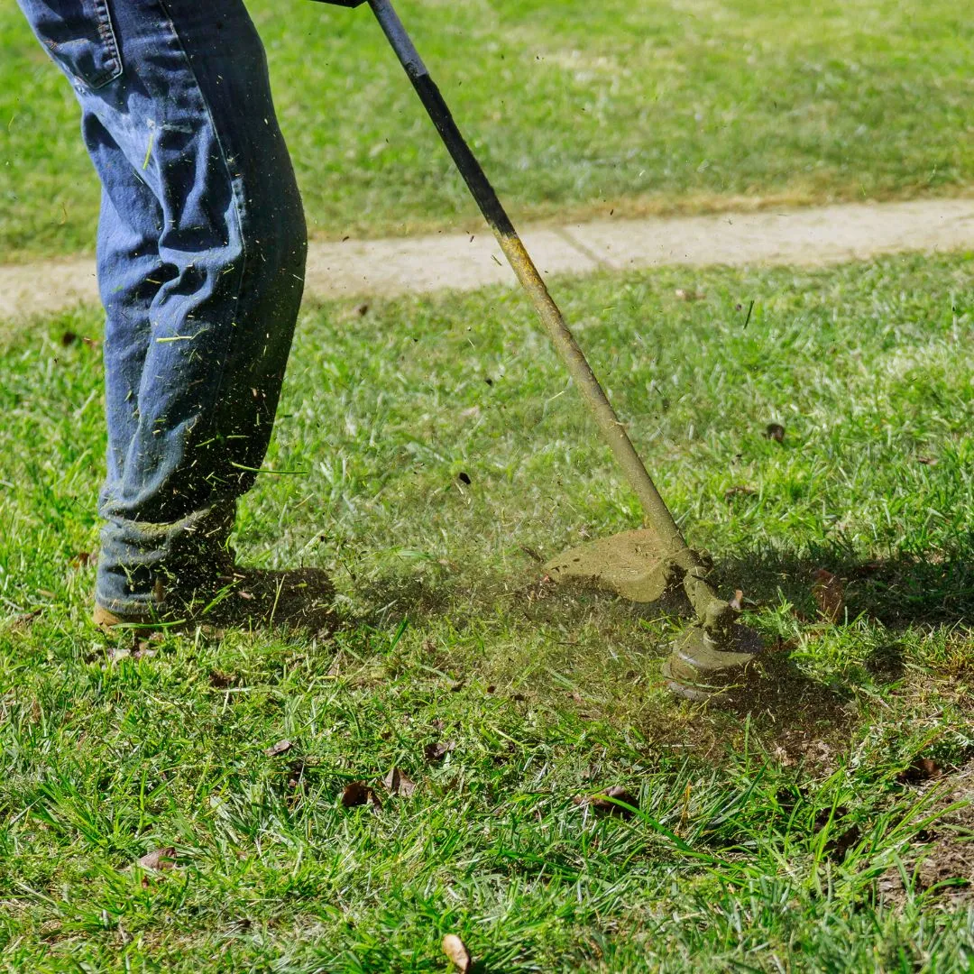 Decespugliamento e pulizia terreni Cobra Garden