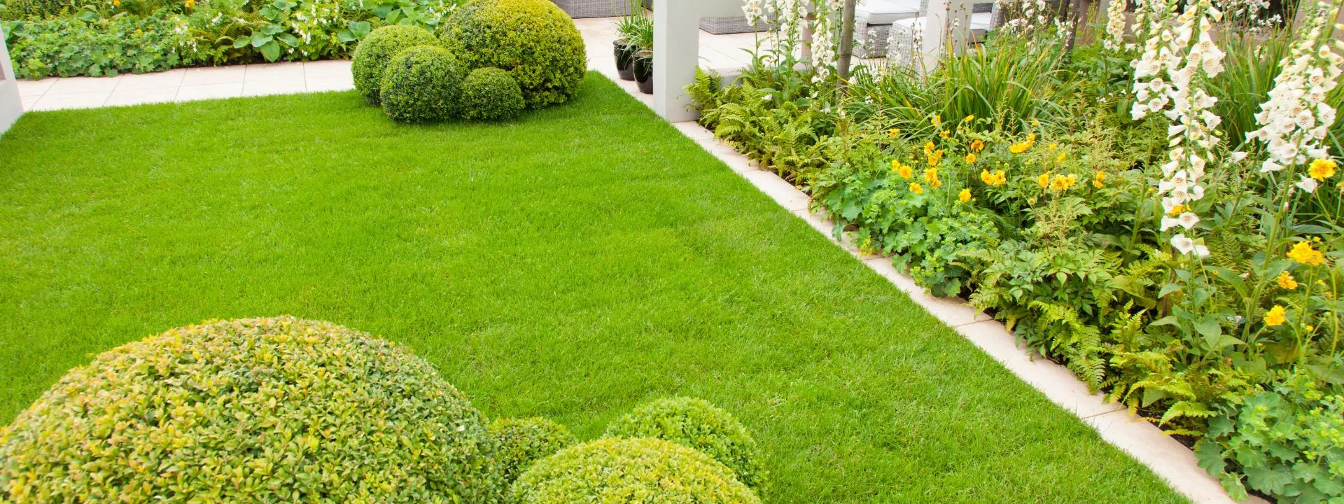 Tappeti erbosi: semina e manutenzione Cobra Garden