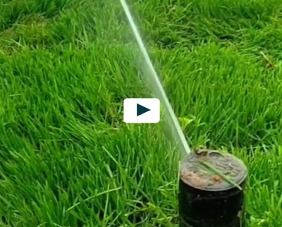 Video giardinaggio: 4